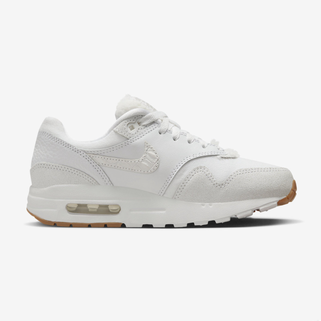 Nike Air Max 1 Premium the Bay 6