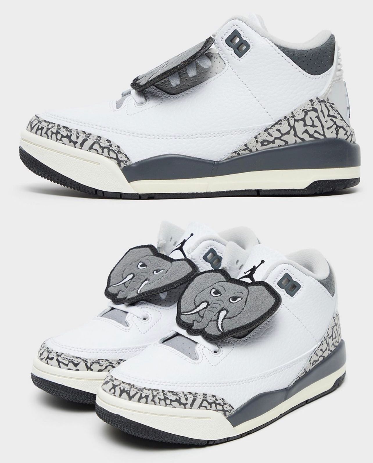 Air Jordan 3 Hide and Sneak