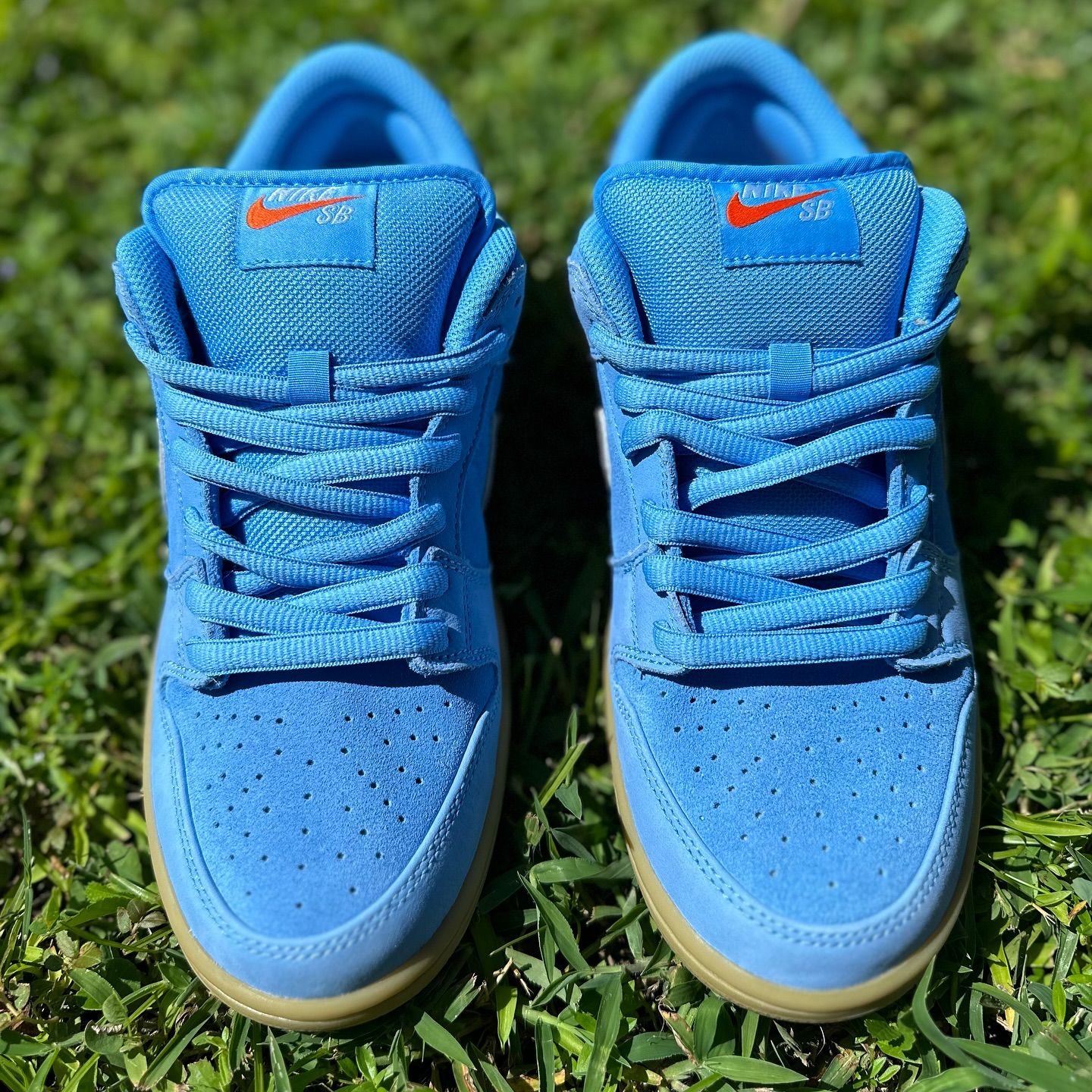 Nike SB Dunk Low Pro ISO “University Blue” FJ1674-401 Release Info