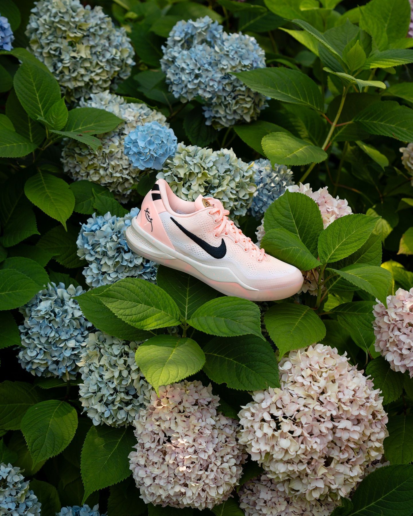 Nike Kobe 8 Protro EYBL Crimson Tint PE 