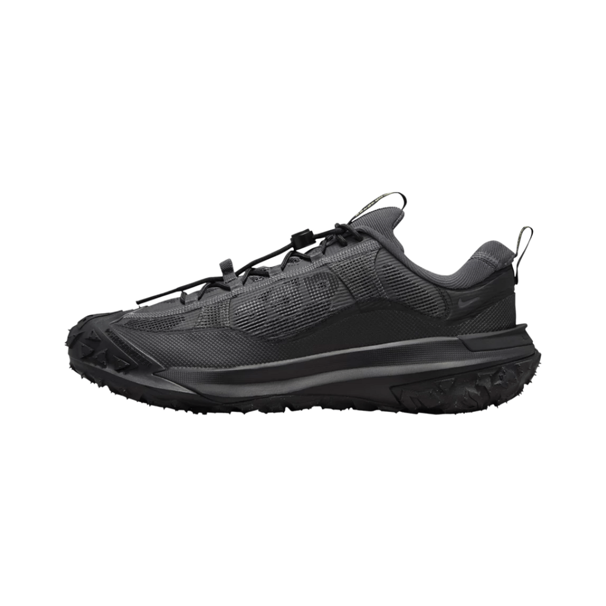 Nike ACG Mountain Fly 2 Low GORE-TEX Dark Smoke Grey