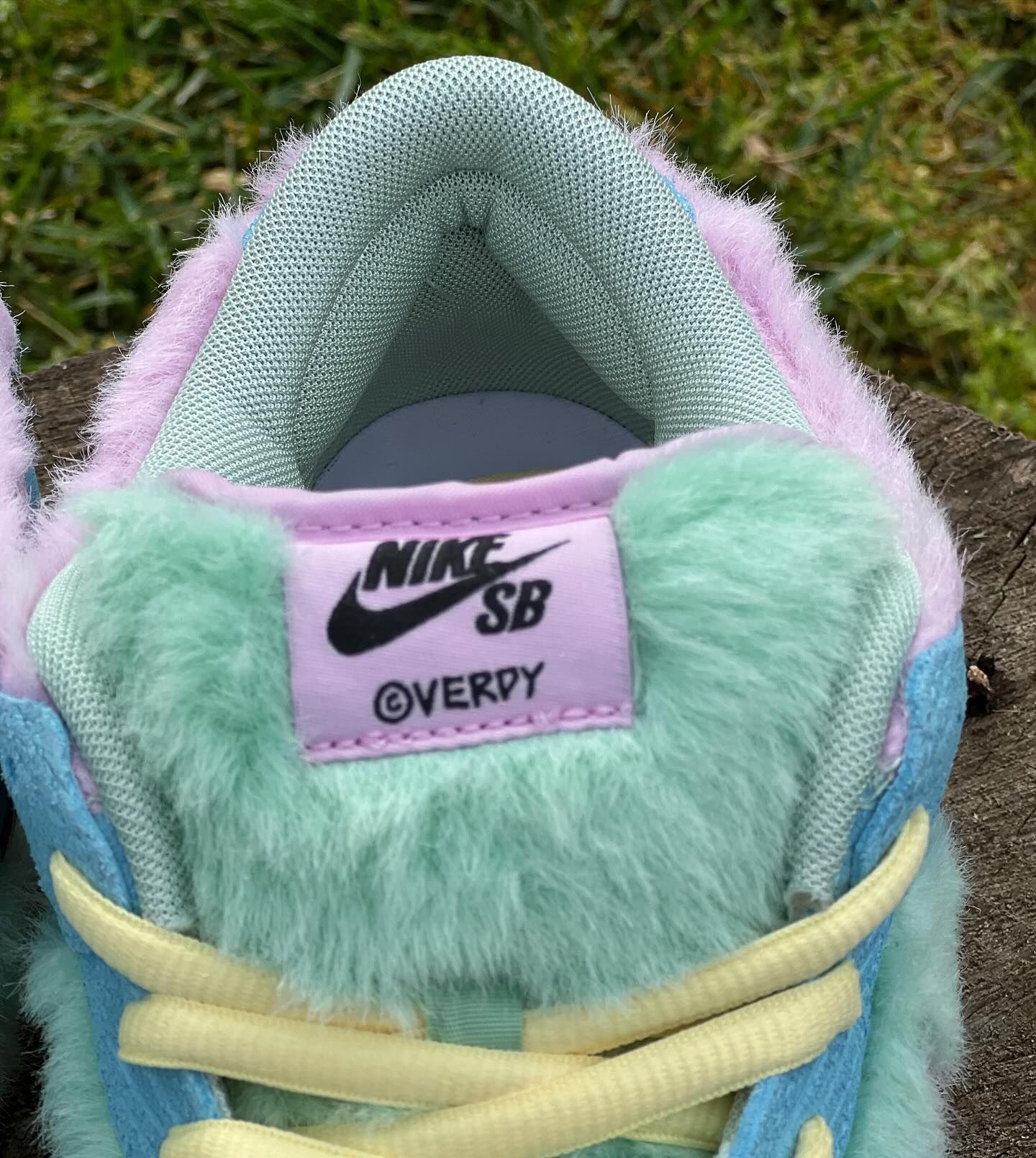 Verty x Nike SB Dunk Low Visty Release Info