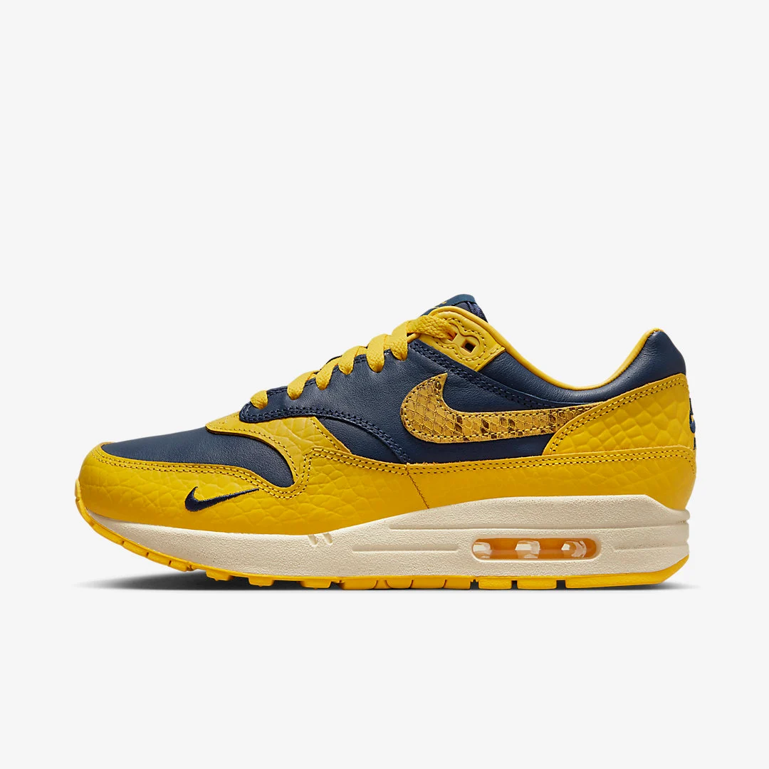 Nike Air Max 1 Prm Co.jp Michigan F J5479 410 02