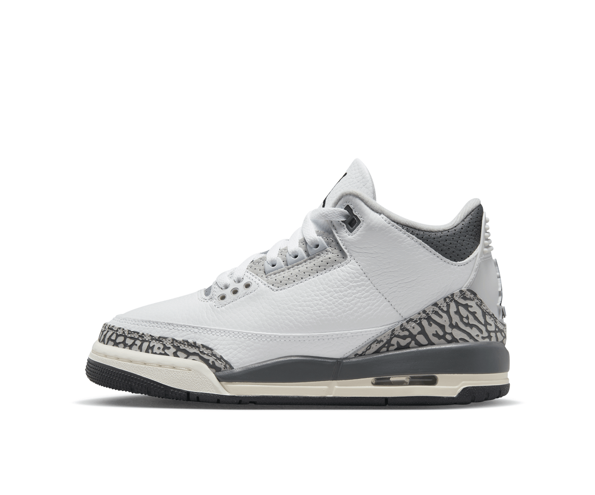 Jordan 3 Retro Hide N' Sneak (GS)