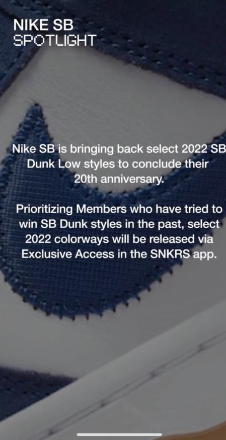 Nike SB 
