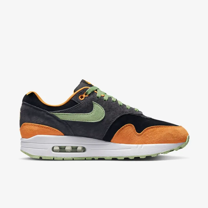 Nike Air Max 1 Ugly Duckling D Z0482 001 04