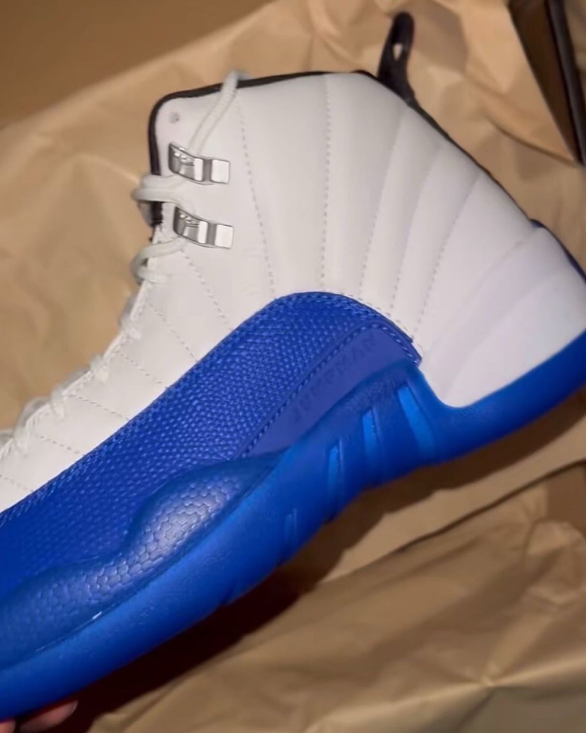 AJ12 Blueberry 3