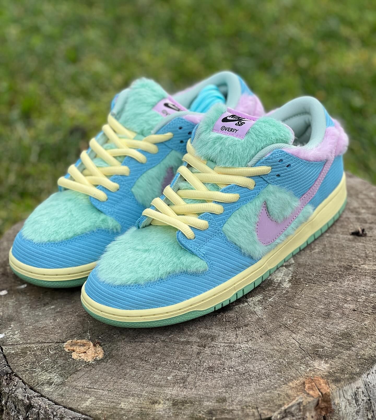 Verty x Nike SB Dunk Low Visty Release Info