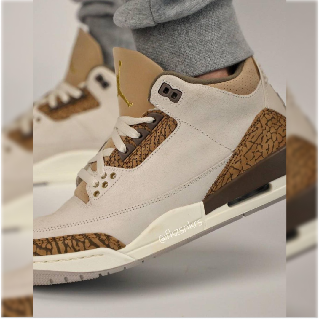 Nike Air Jordan 3 Palomino 3