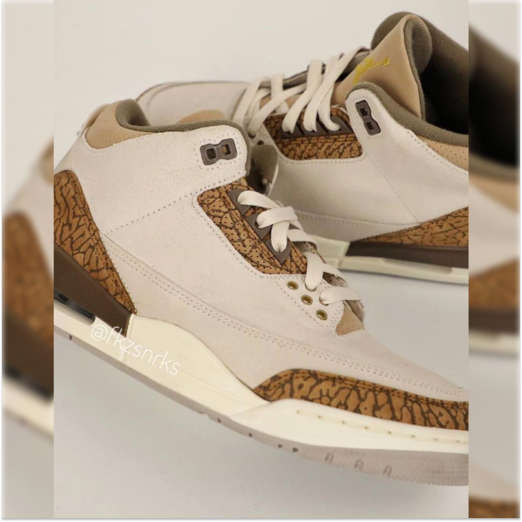 Nike Air Jordan 3 Palomino 4