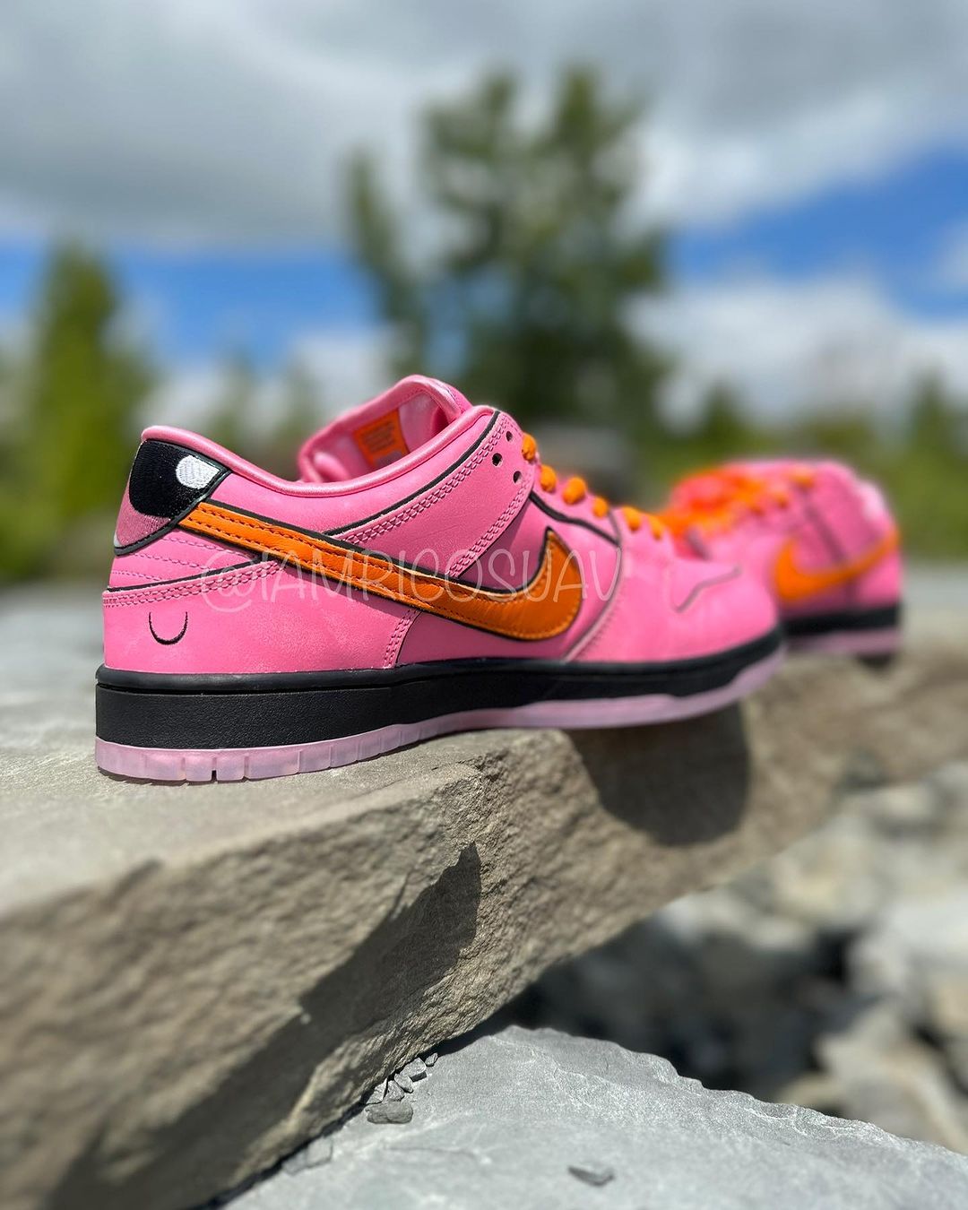 Powerpuff Girls x Nike SB Dunk Low