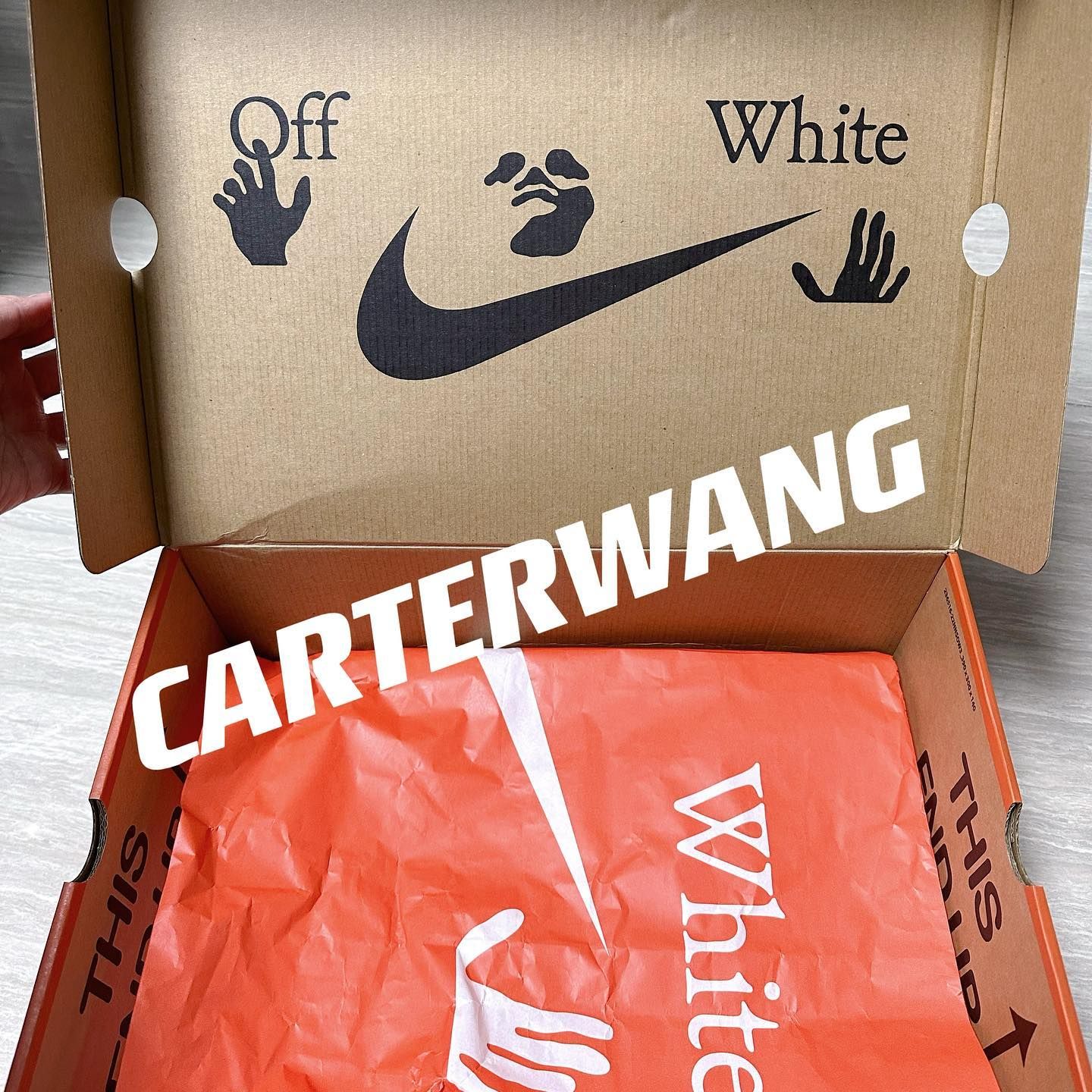Off White Nike Air Terra Forma Box