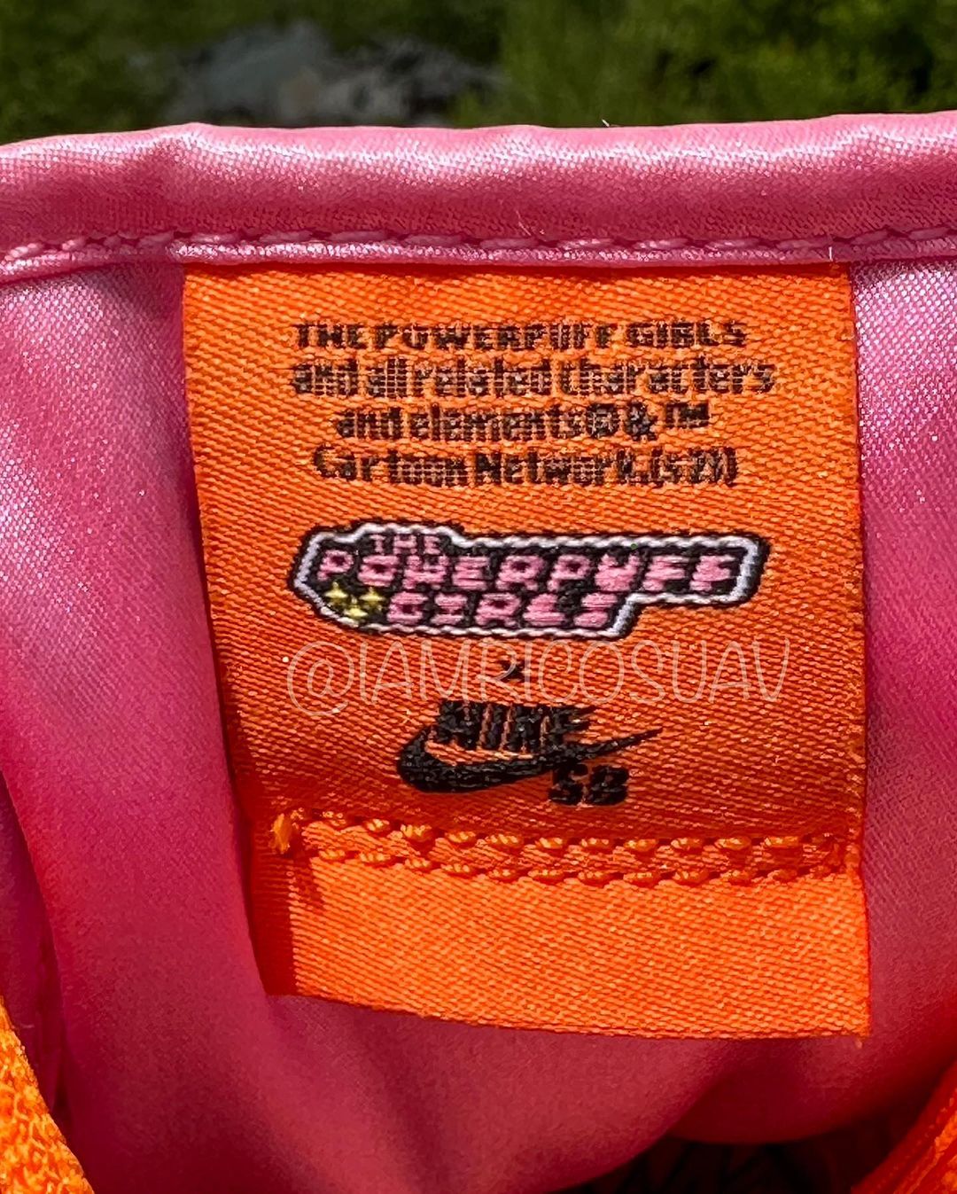 Powerpuff Girls x Nike SB Dunk Low