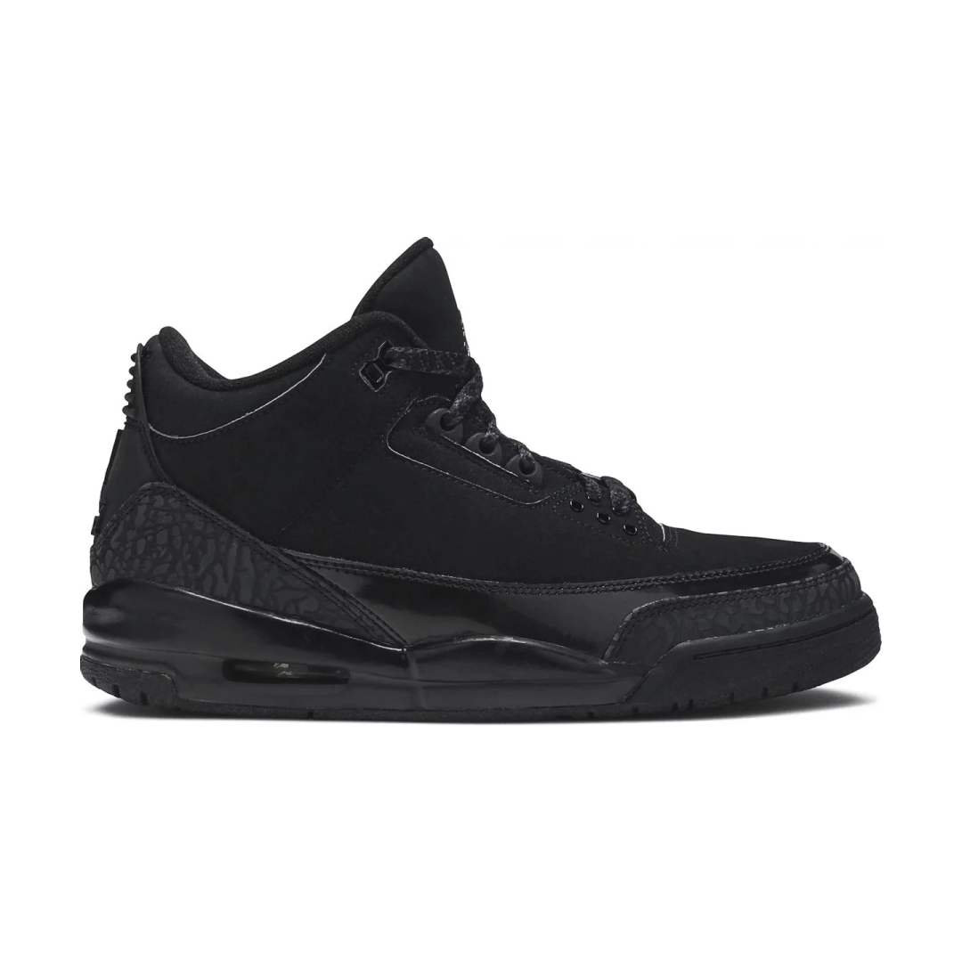 Air Jordan 3 “black Cat” 2024 1