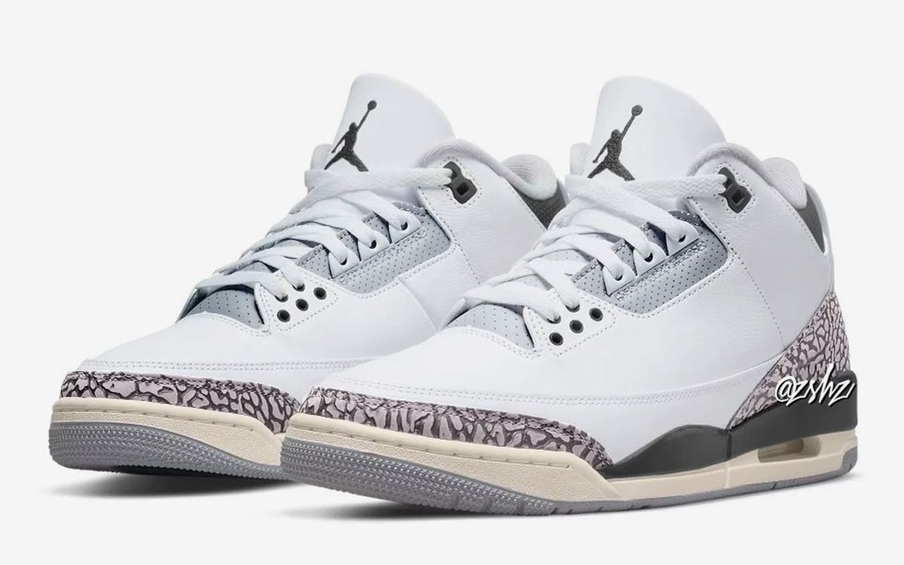 Air Jordan 3 Hide and Sneak