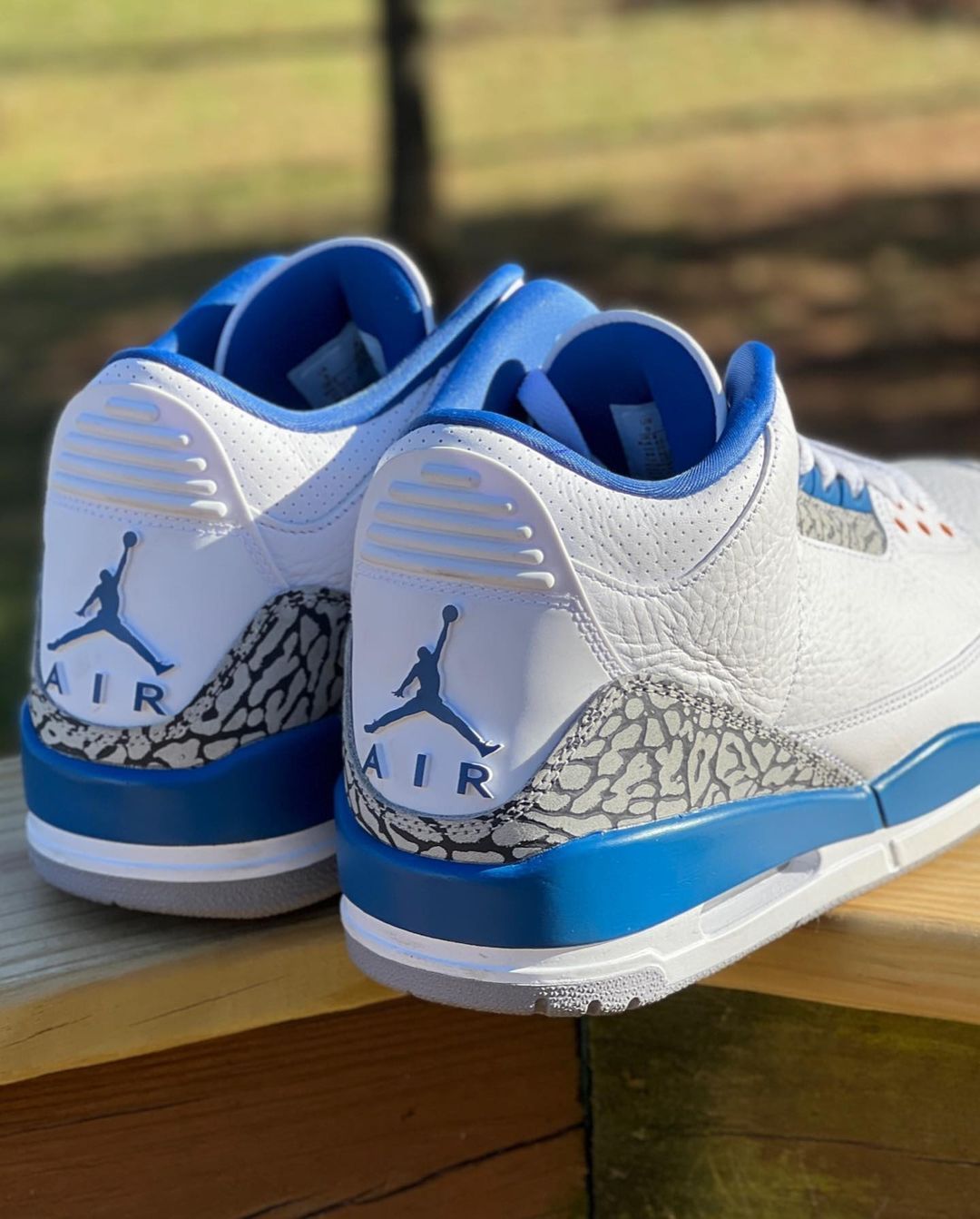 Air Jordan 3 Wizards PE