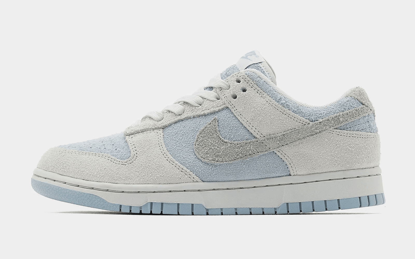 First Look At The Nike Dunk Low 