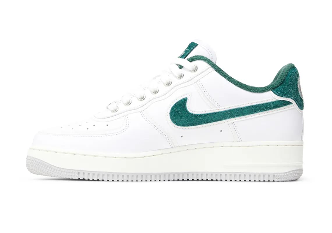 Division Street x Nike Air Force 1 Low Ducks of a Feather HF0012-100