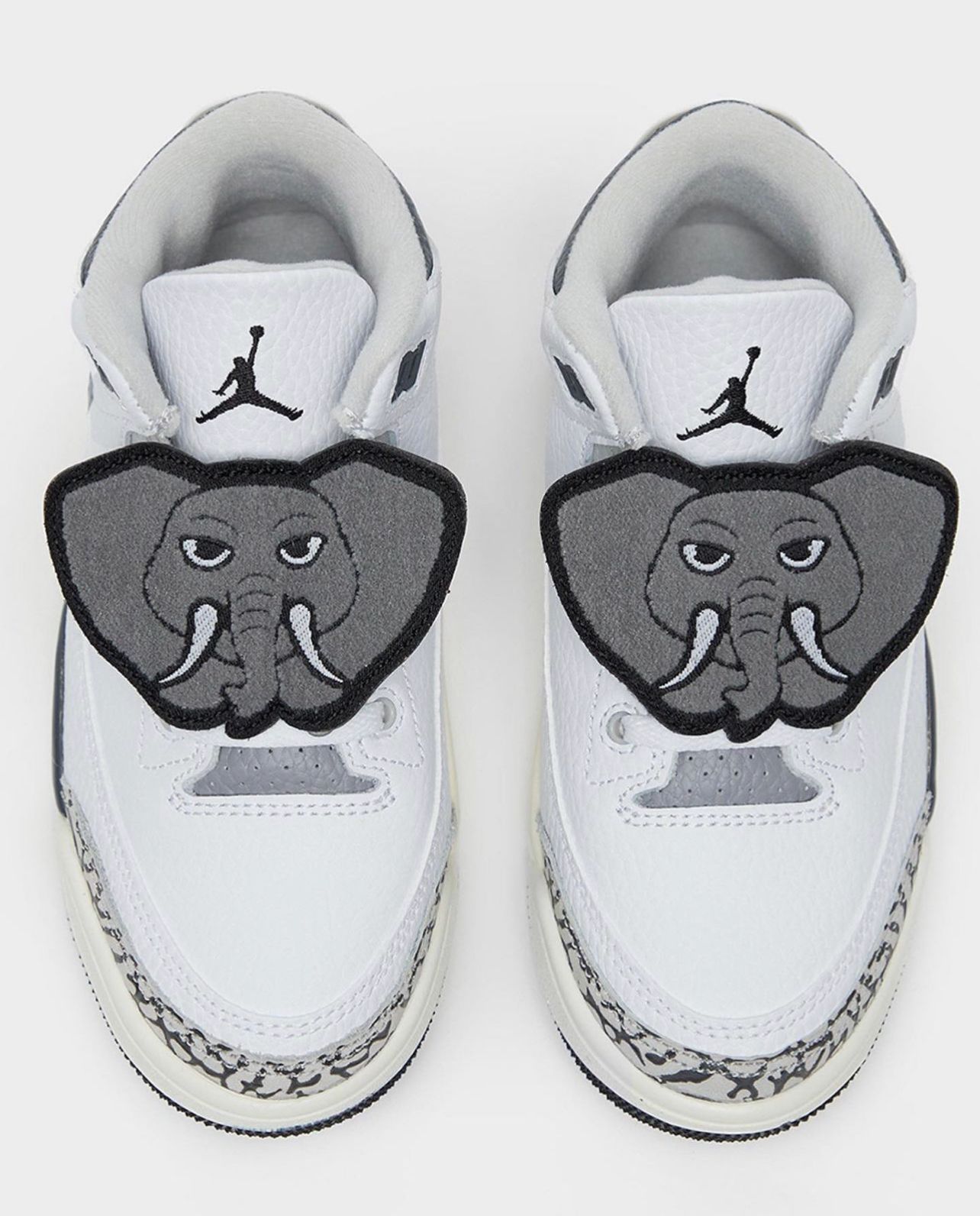 Air Jordan 3 Hide and Sneak