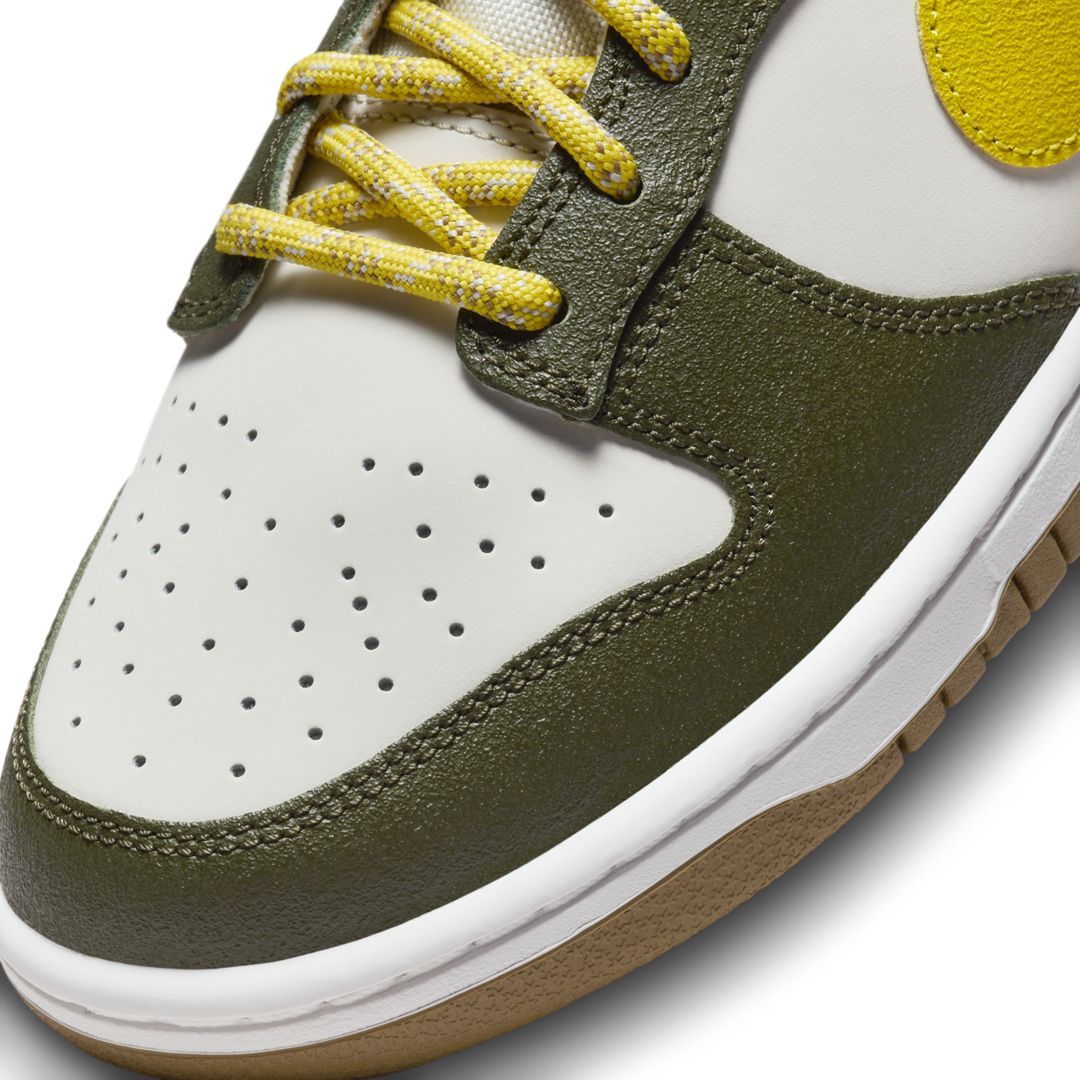 The Nike Dunk Low Premium 