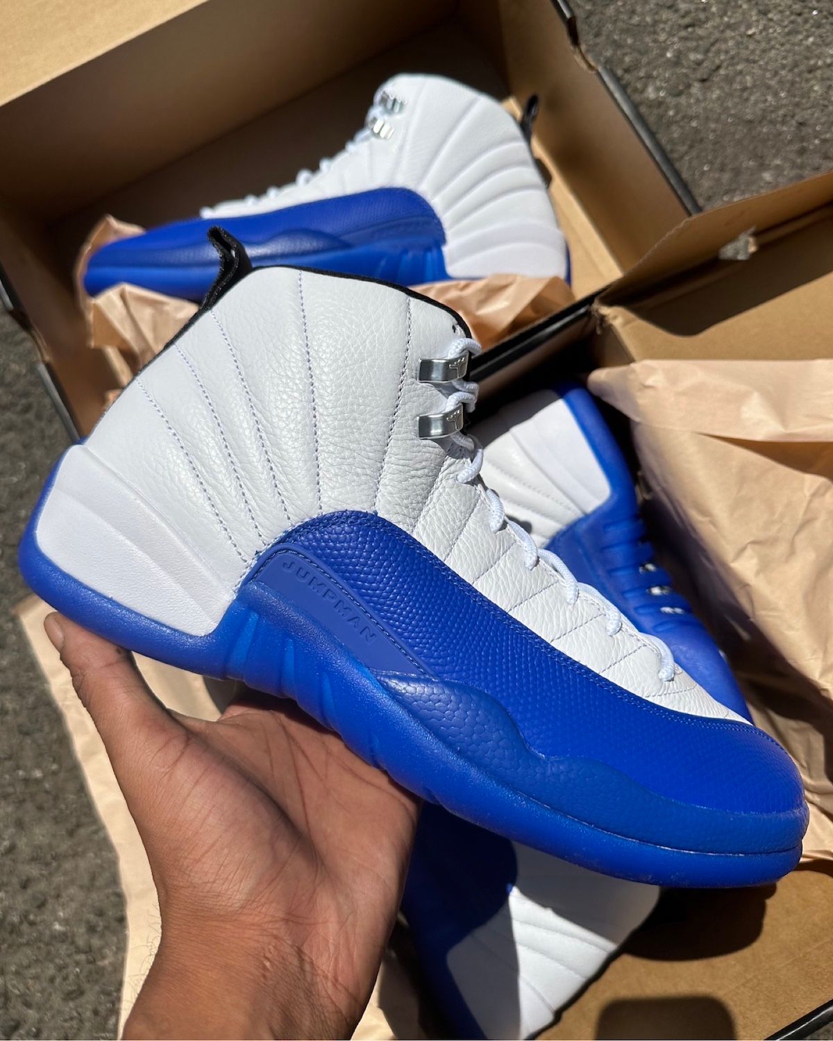 AJ12 Blueberry 