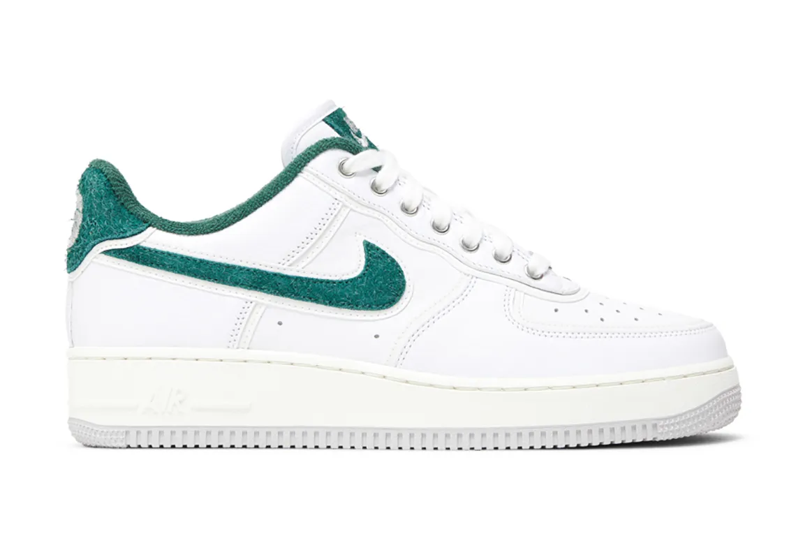 Division Street x Nike Air Force 1 Low Ducks of a Feather HF0012-100