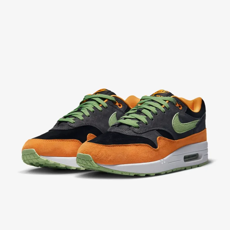 Nike Air Max 1 Ugly Duckling D Z0482 001 02
