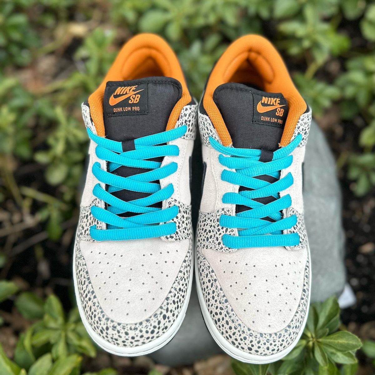 Nike SB Dunk Low Safari “Olympics” FZ1233-002 Release Info